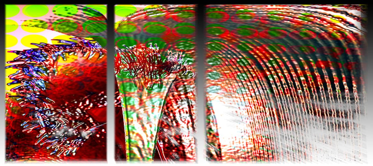 Bipolar - Oeuvre Vincent Conte Mazzara