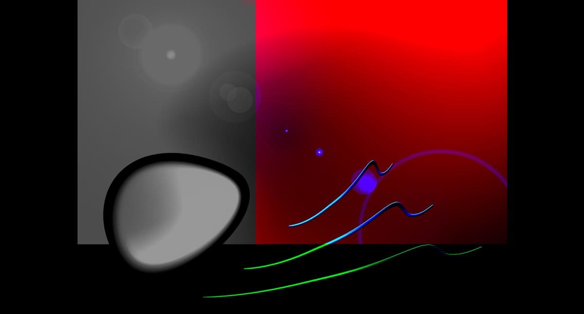 Renaissance - Oeuvre Vincent Conte Mazzara