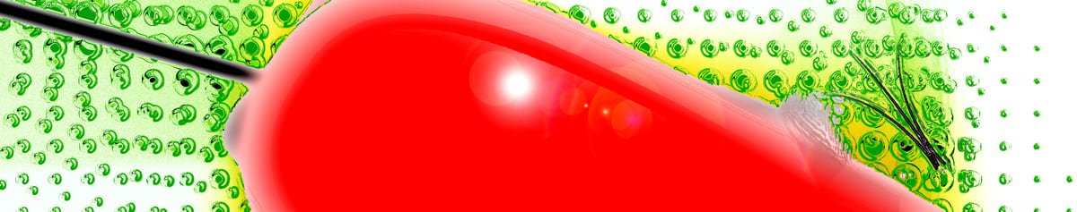 Tomato Favedo - Oeuvre Vincent Conte Mazzara