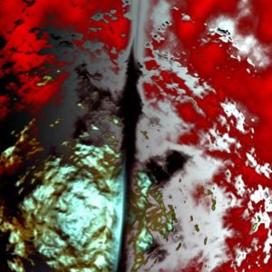 Oeuvre Vincent Conte Mazzara - Incarceration