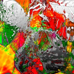 Oeuvre Vincent Conte Mazzara - Wild Colors